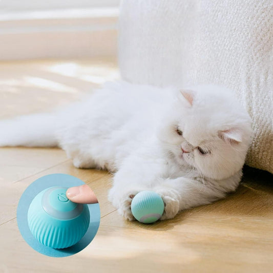 Interactive Cat Toys Rechargeable Rotating Ball with LED